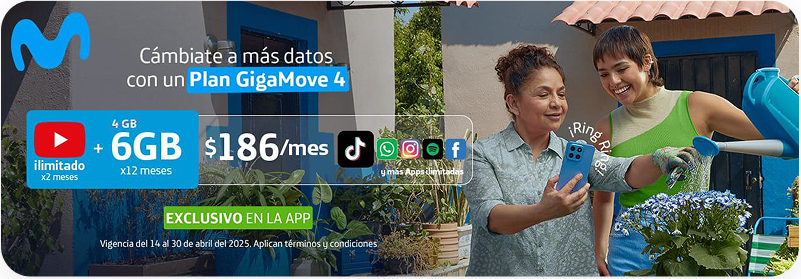 Promoci&oacute;n